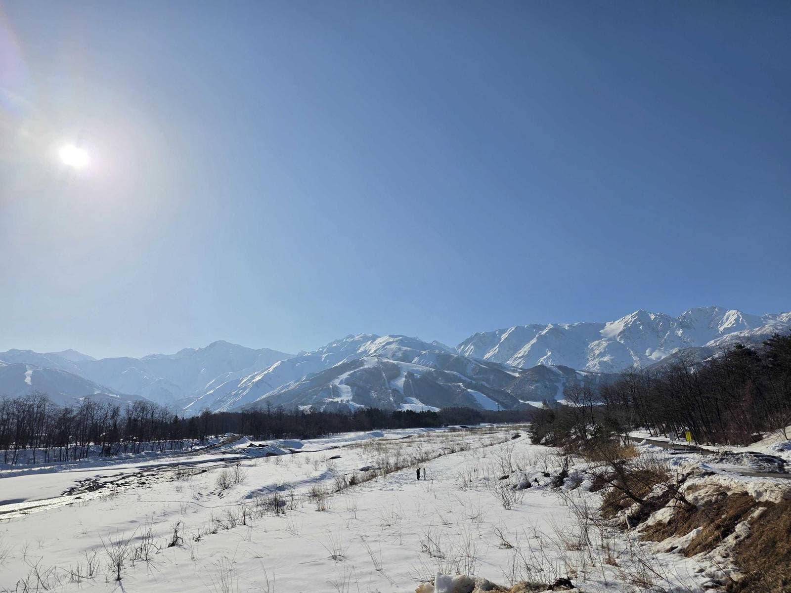 Shiga Kogen — Yokoteyama and the surrounding alpine forest